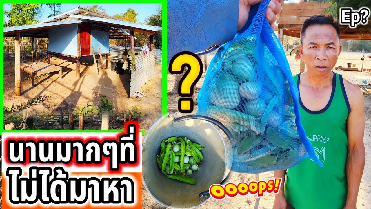 นานมากๆที่ไม่ได้มาหาอ้ายดร Ep?
