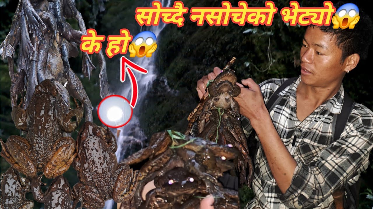 सोच्दै नसोचेको ठाउमा एति धेरै पाहा भेटियो😱पाहा खोज्ने क्रममा रातै परो😢@Sarojvlog001 