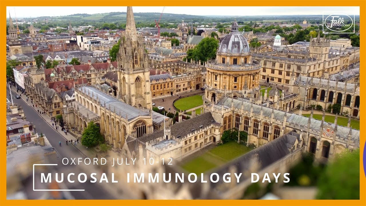 Symposium 241 in Oxford - Looking back