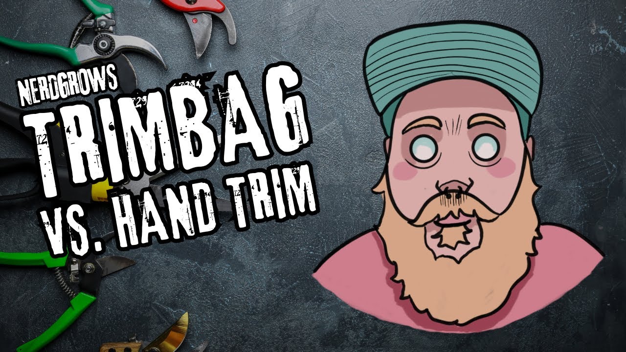TrimBag Vs. Hand Trimming, Which One Is Better?