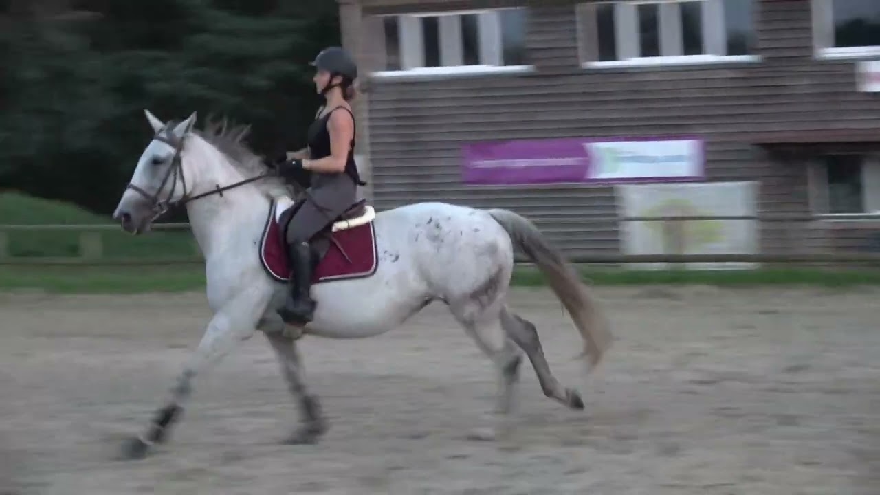 [Etrier Sarthois] Cours n°2 Laetitia - 08/09/2023