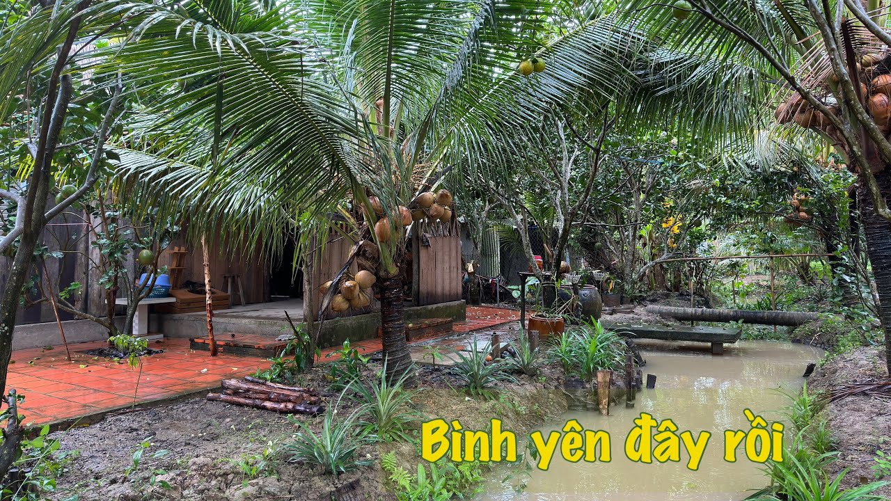 Bình yên chẳng ở đâu xa - Bình yên là ở nhà mình đó thôi - Mộc mạc miền Tây | Đặc sản miền sông nước