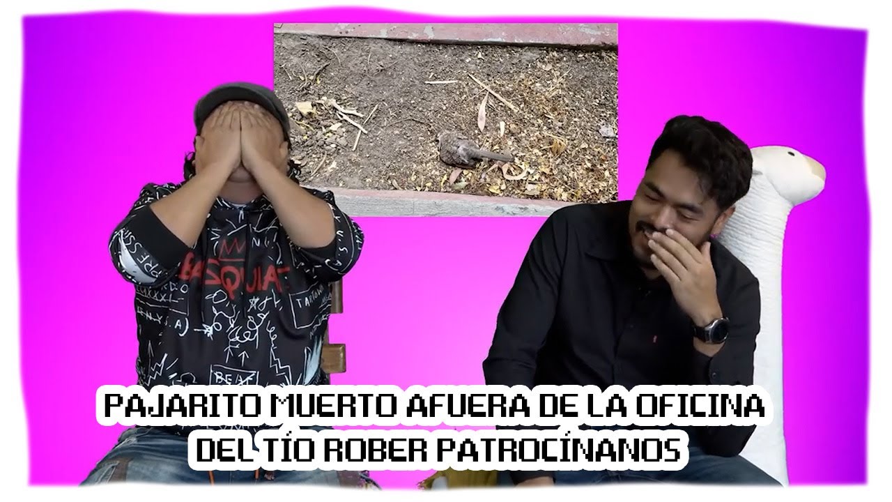PAJARITO MUERTO AFUERA DE LA OFICINA DEL TÍO ROBER PATROCÍNANOS