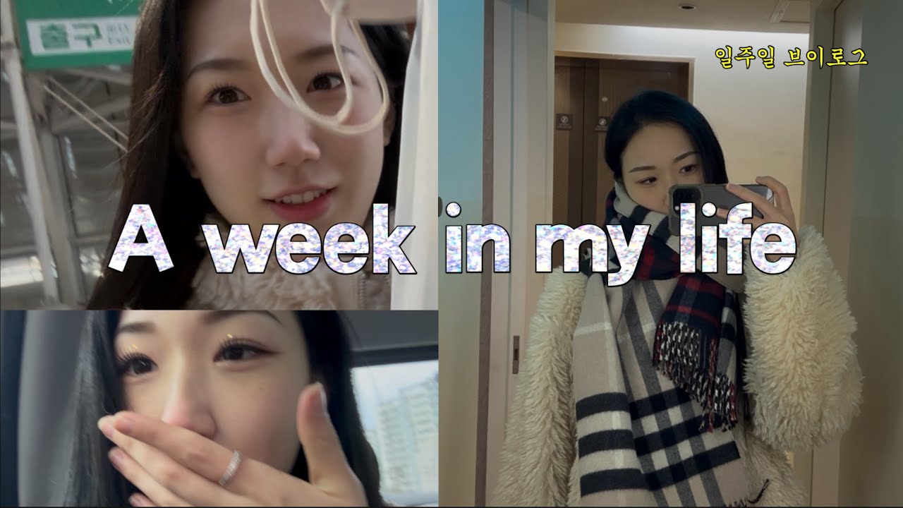 [나는 민주당Vlog] 2026년 1월의 어느 한 주 ㅣ부산출장ㅣ현대아올렛 ㅣ논문제출ㅣ서울촬영ㅣ나는솔로결혼식ㅣ강릉ㅣ먹방