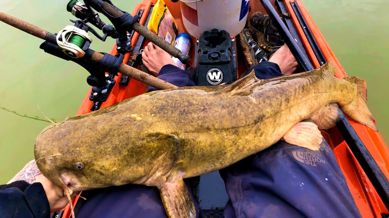 Wilderness Systems Radar 115 Review - Using It For Fishing