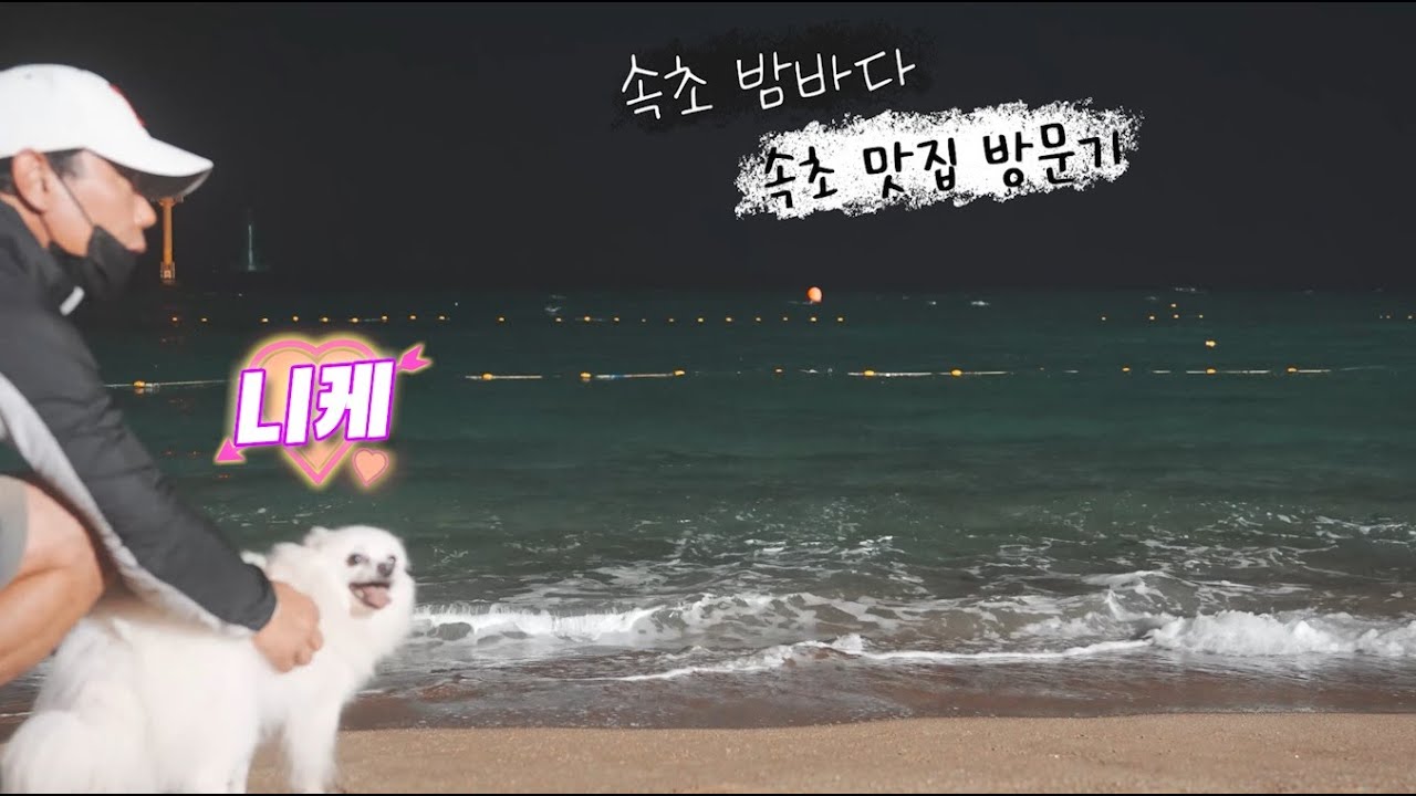 스피츠 니케와 강원도 속초 밤산책 #열대야 #속초해수욕장 #속초맛집 #주오일심야라멘