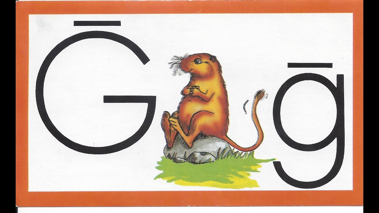 1004 03 Gerbil- Learn to Read with Ace and Christi (A. C. E. Accelerated Christian Education)
