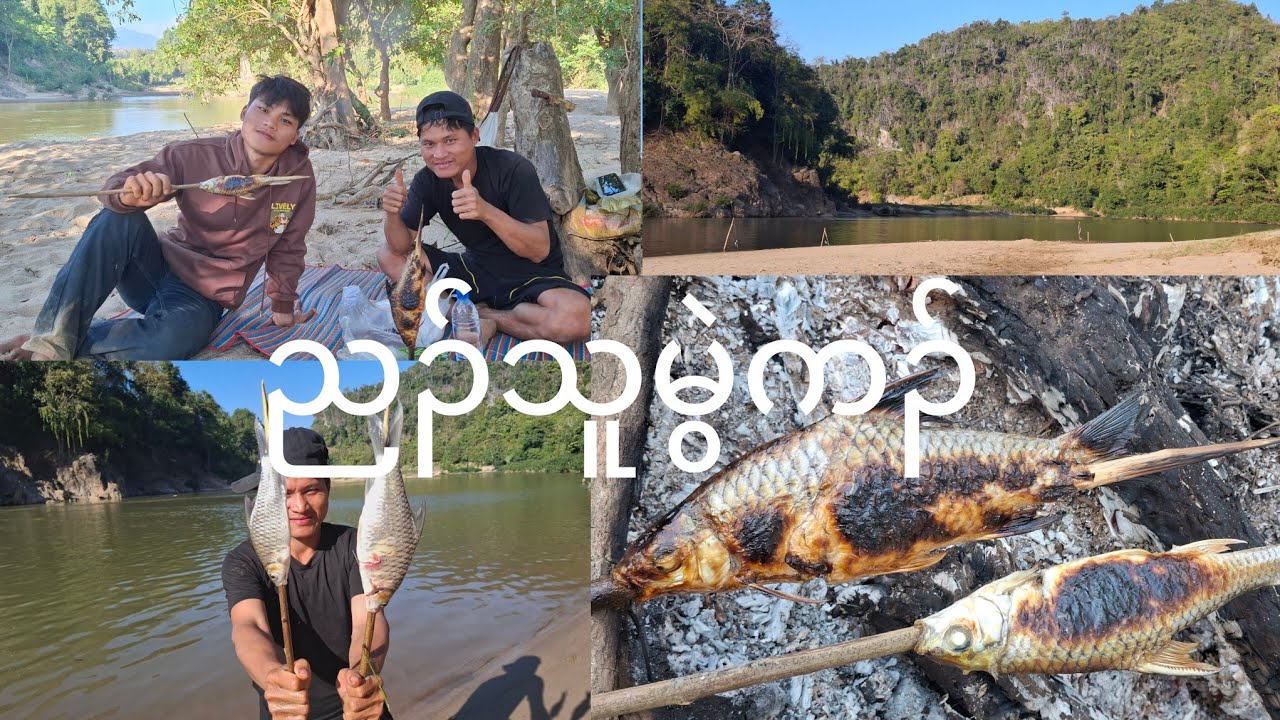 fish 🐟 ညၣ်သူမွဲကၣ်
