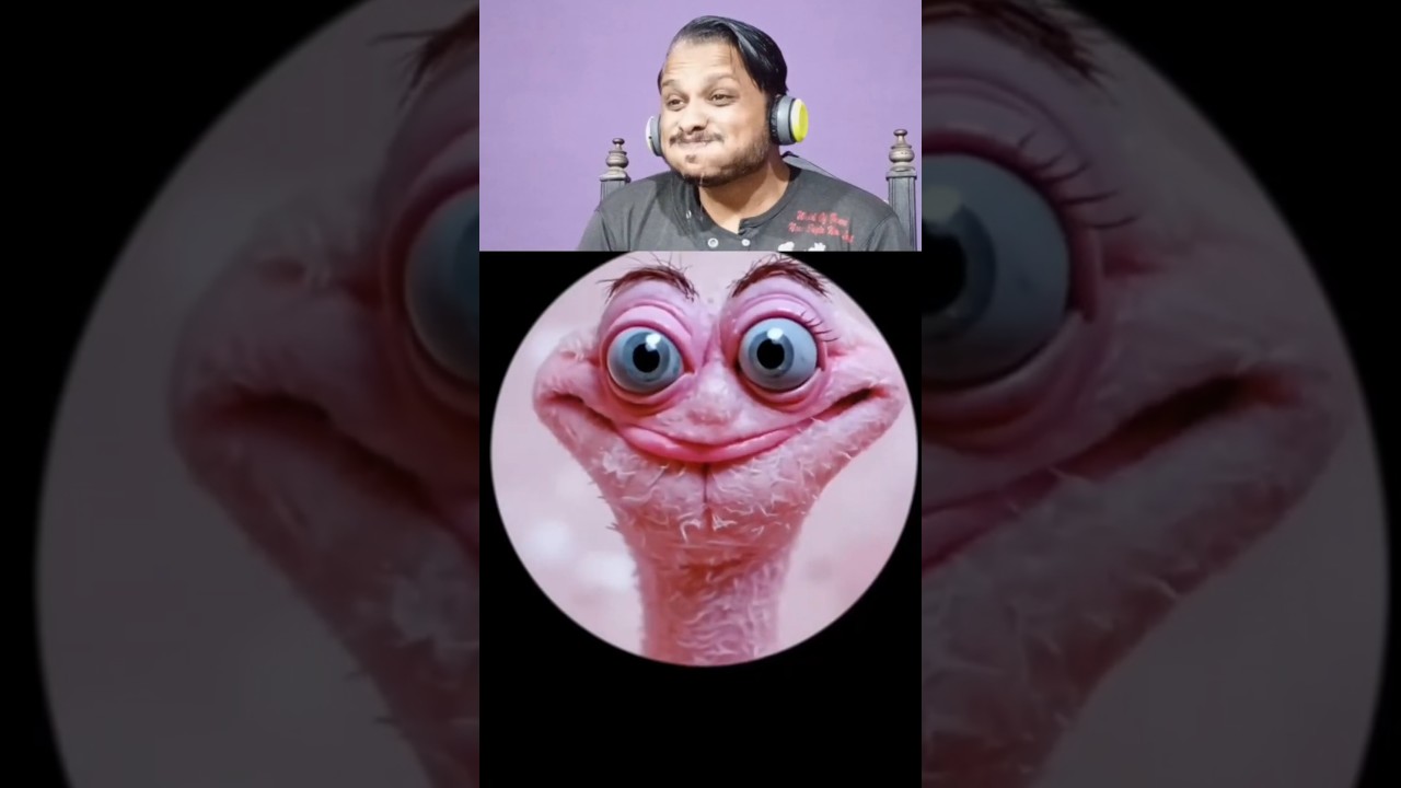 Best Try Not To Laugh🤣 Challenge # 15 | Wait For The End