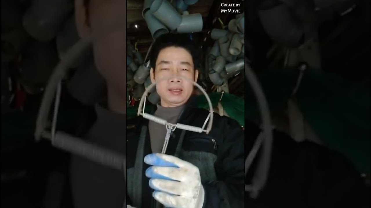 tự cải tiến bẫy chuột siêu nhạy và thông minh