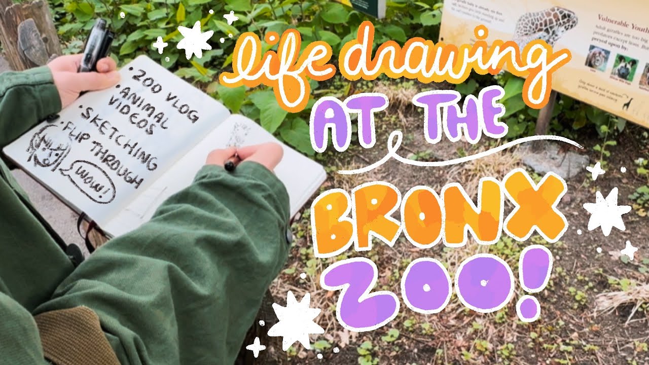Life Drawing at the Bronx Zoo ✦ Freelance Illustrators Sketching Animals ✦