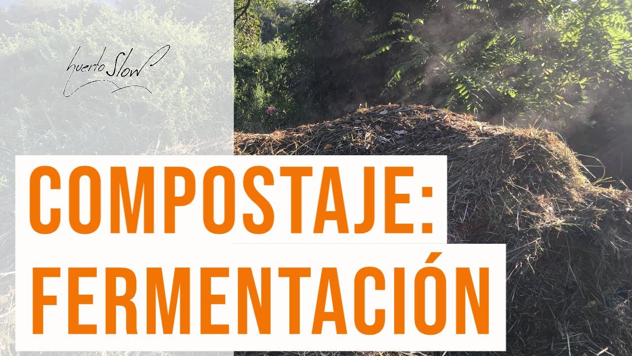 🌡  Compostaje: fermentación | FASES DEL COMPOSTAJE