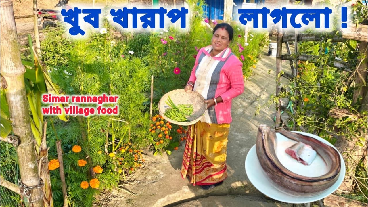 বাগান থেকে প্রথমবার বীন কড়াই মটরশুঁটি পেঁয়াজকলি তুলে দুই পদে রান্না। সোনা বগি মাছ ঝাল।