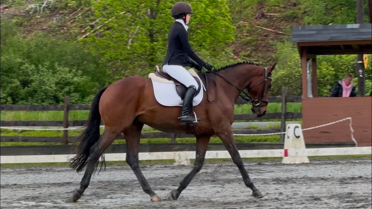 Abigail O’Rourke RRP Application- Flat Video