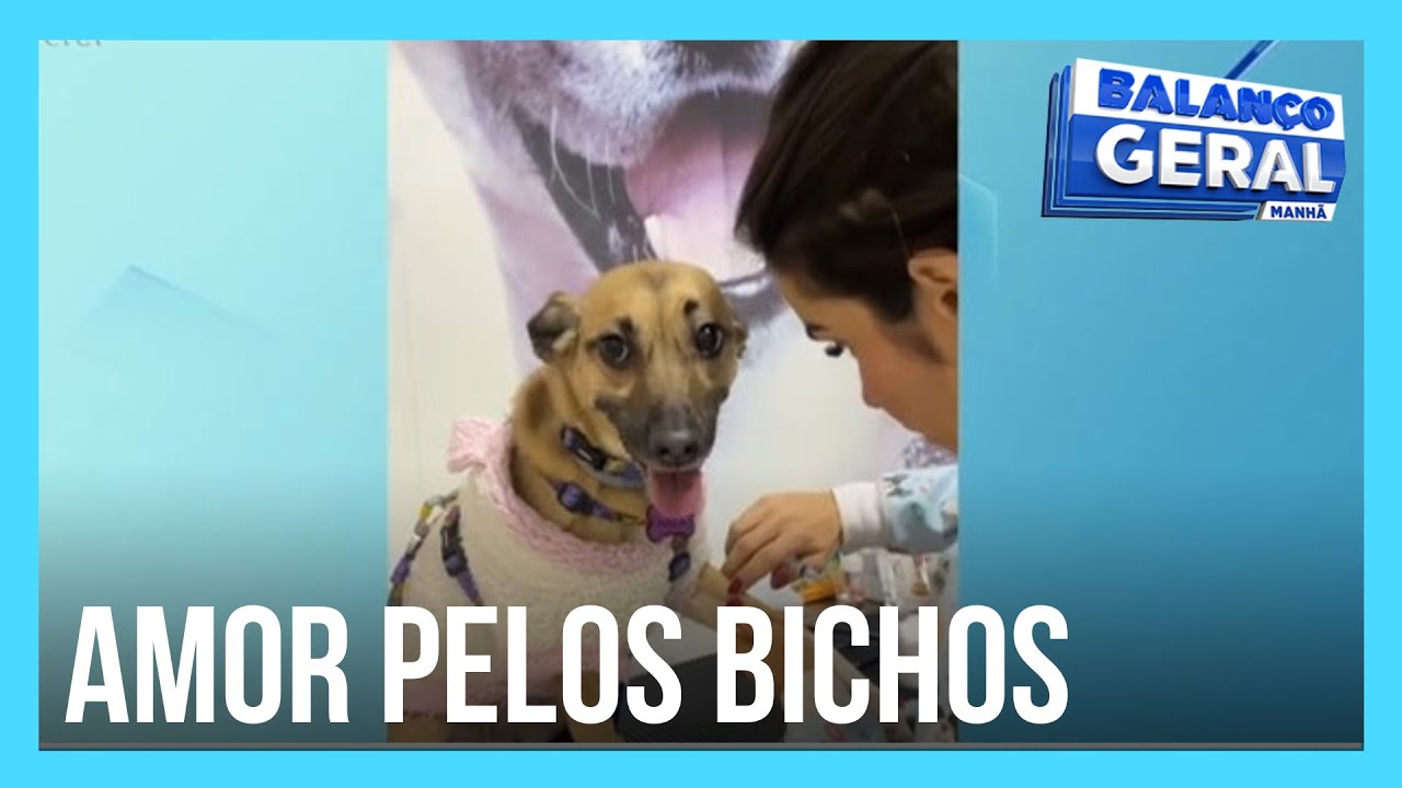 Veterinária faz sucesso ao acalmar cachorra com medo de tirar sangue