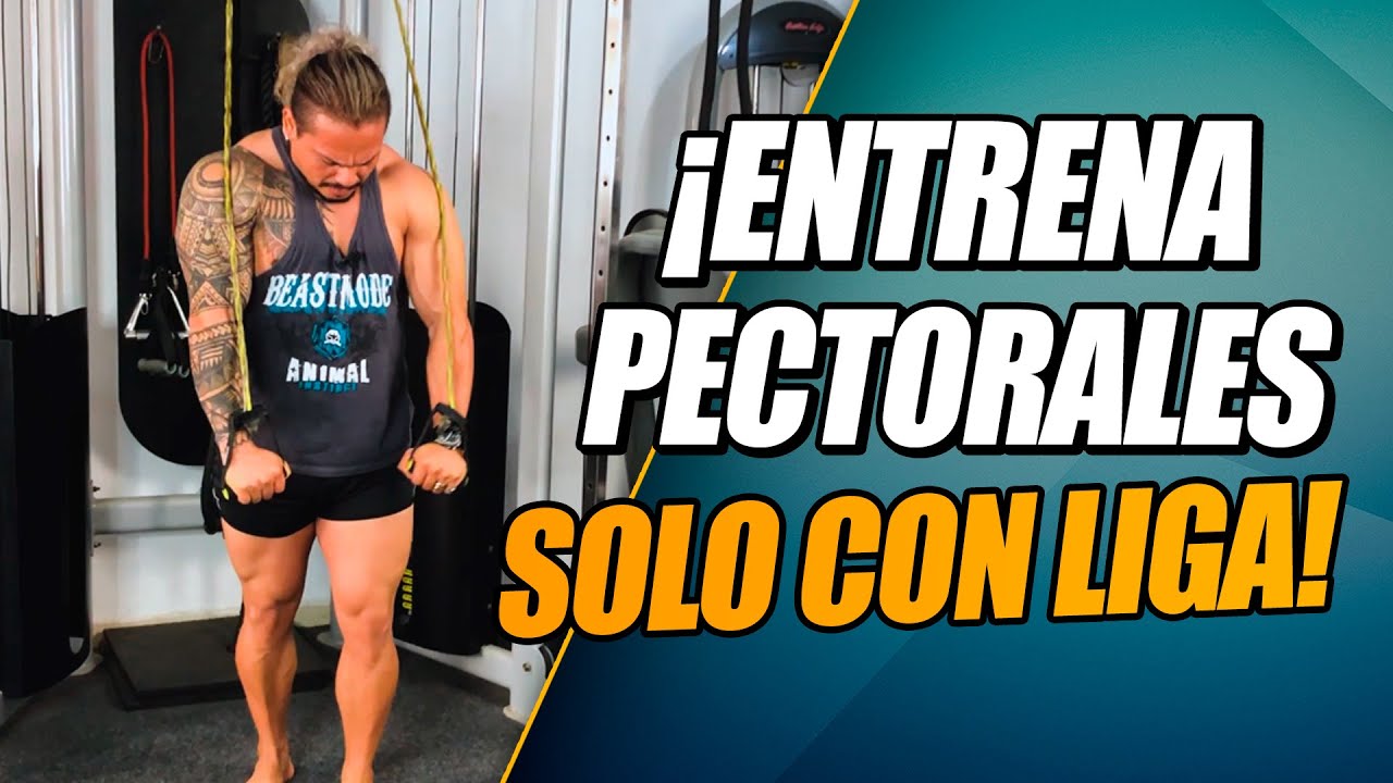 RUTINA COMPLETA CON LIGA PECTORALES | Aumenta y levanta tu pecho - Frank Serapión