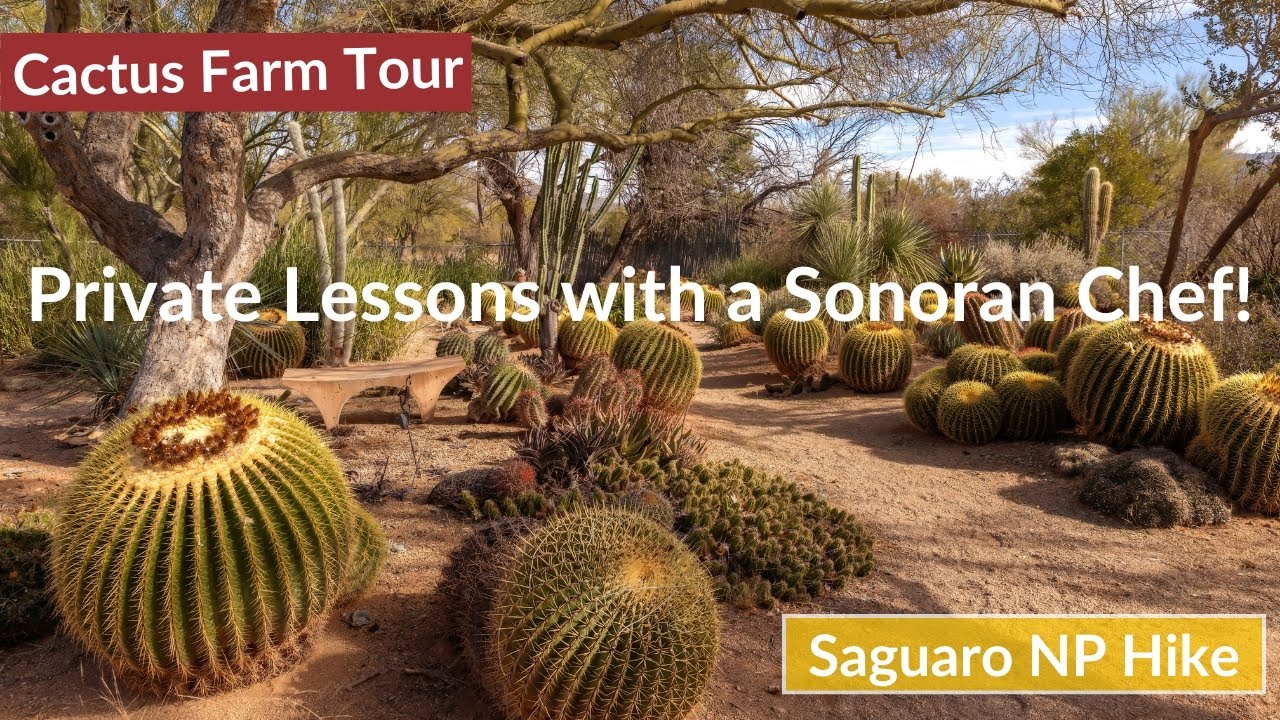 Tucson, Arizona: Saguaro National Park, Cactus Farm Tour, Private Lessons with a Chef!