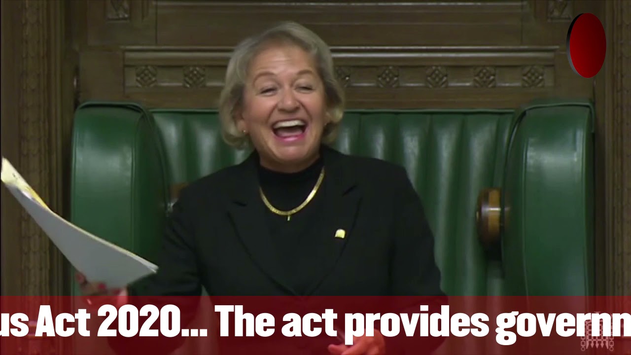 A modern democracy in a one party state: Renewal temporary provisions under the Coronavirus Act 2020