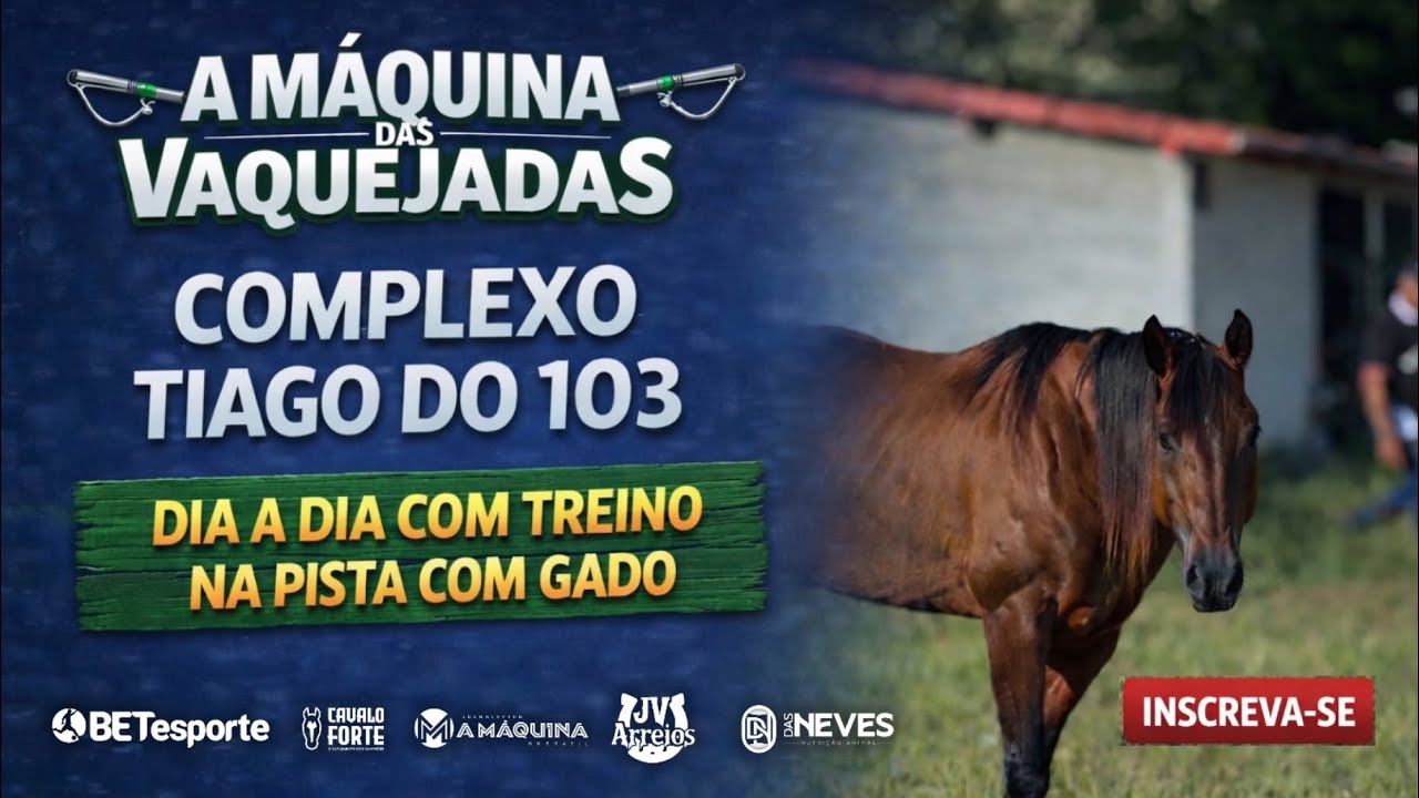 COMPLEXO TIAGO DO 103 - DIA DIA COM TREINO NA PISTA COM GADO - VAQUEJADA AO VIVO. 