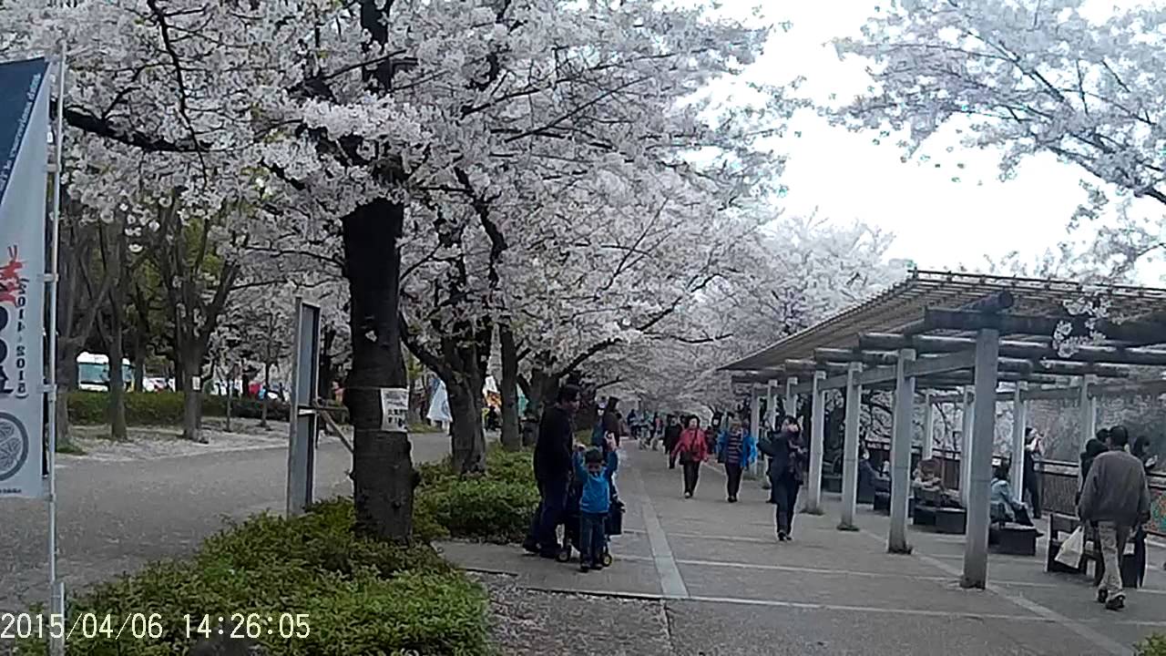Plum Grove Garden @ Osaka Castle Park Japan