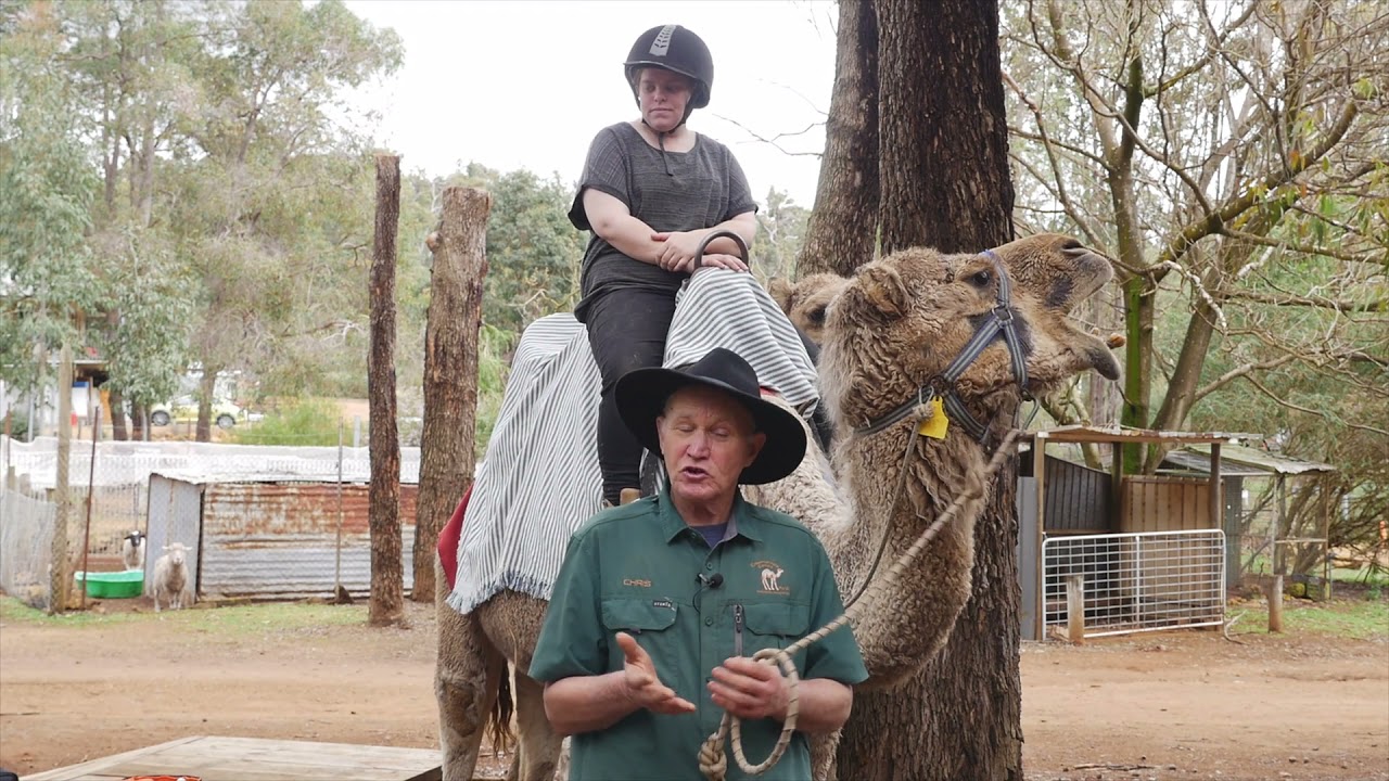 Ep# 31 Camels In The Perth Hills