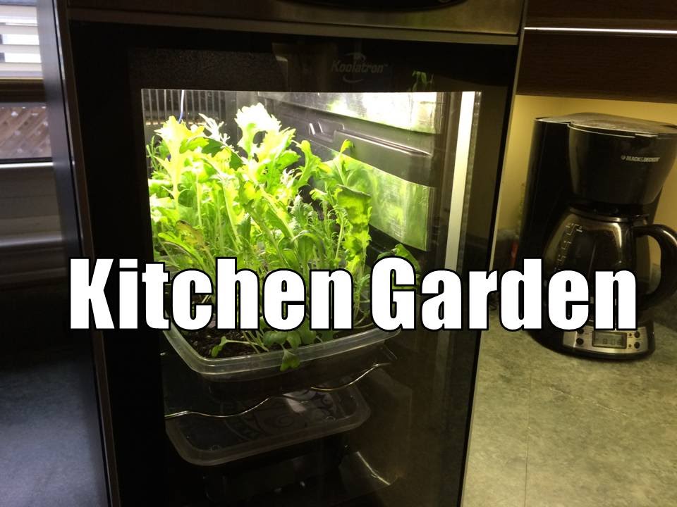 Arduino Automated Kitchen Garden Overview