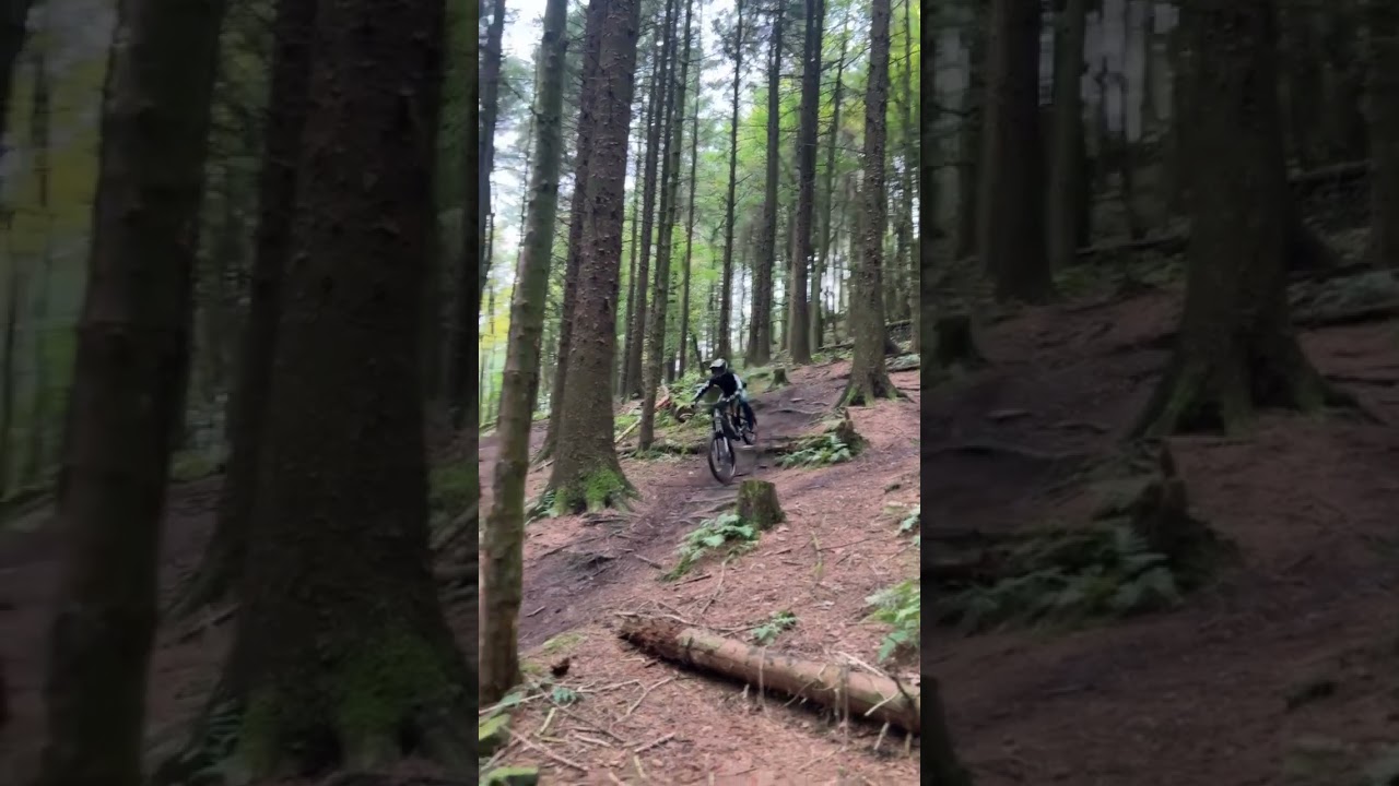 Change of scenery #mtb #mtbdh  #downhillmtb