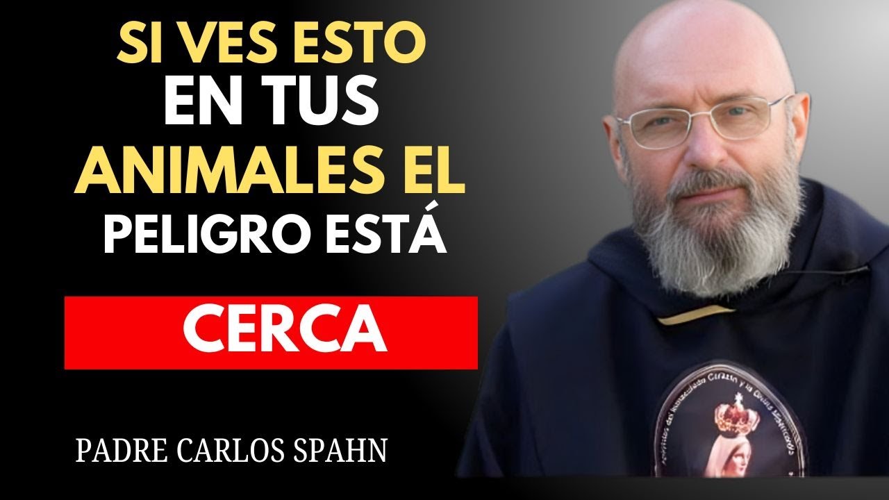 5 COMPORTAMIENTOS DE ANIMALES QUE ALERTAN DEL PELIGRO - PADRE CARLOS SPAHN