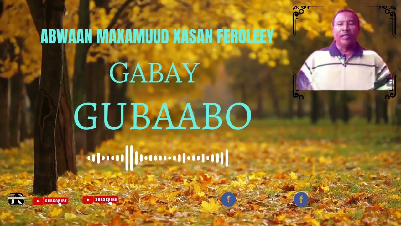 ABWAAN MAXAMUUD XASSAN FEROOLEY