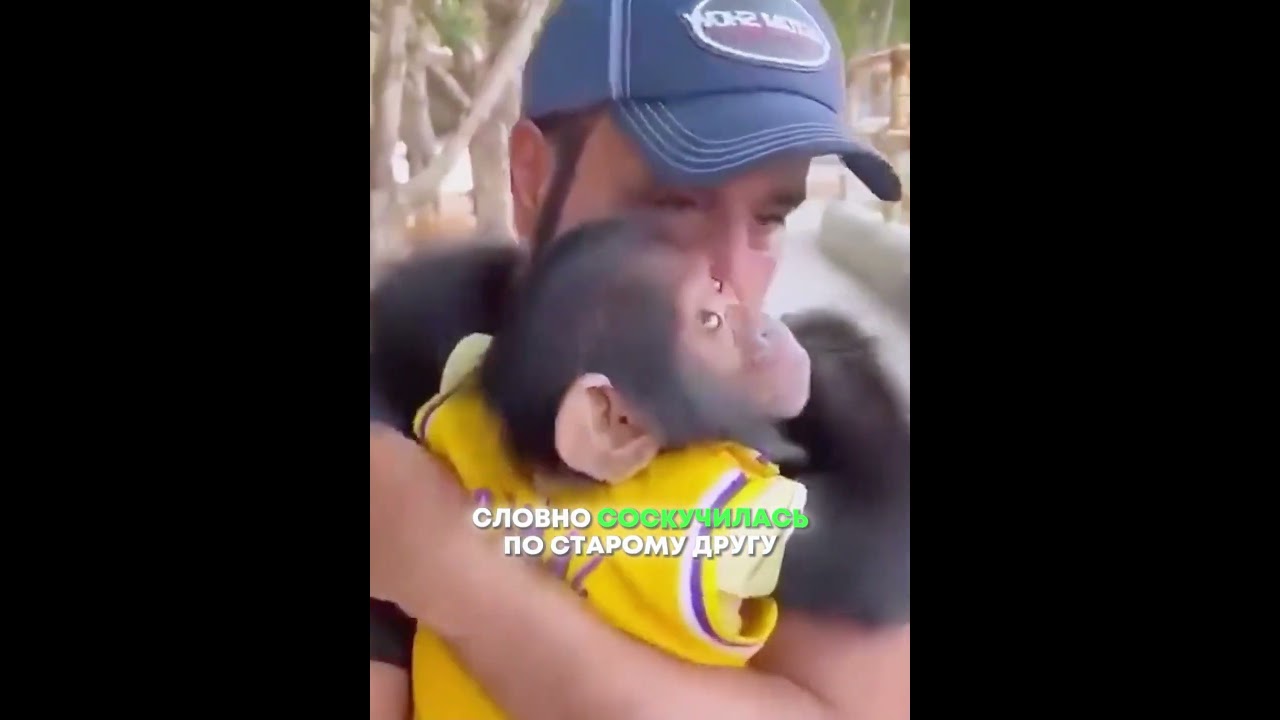 Stories of the close bond between people and animals