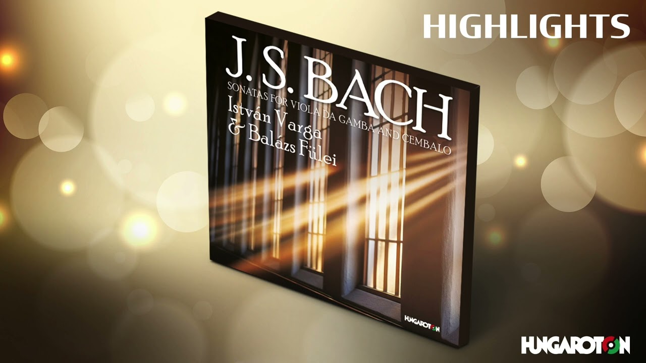 J. S. Bach: Sonata in G major: II Allegro ma non tanto performed by István Varga & Balázs Fülei