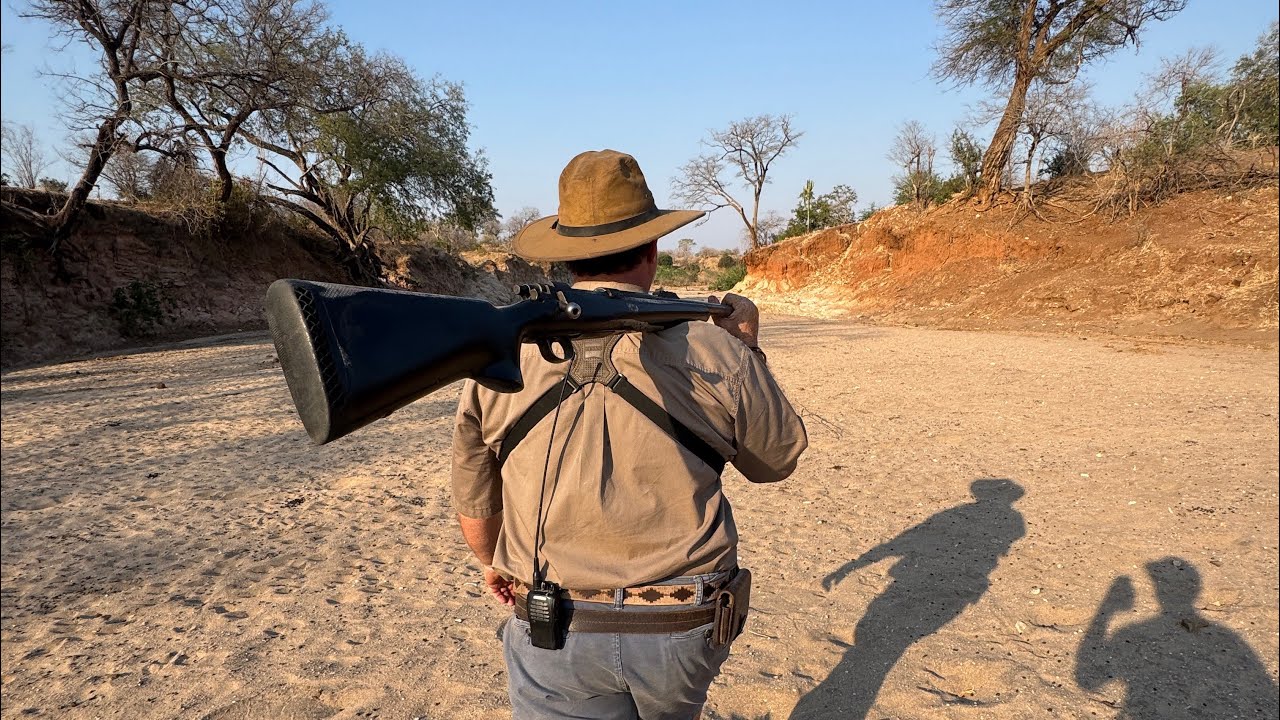 Tracking lions on foot in Mana Pools 