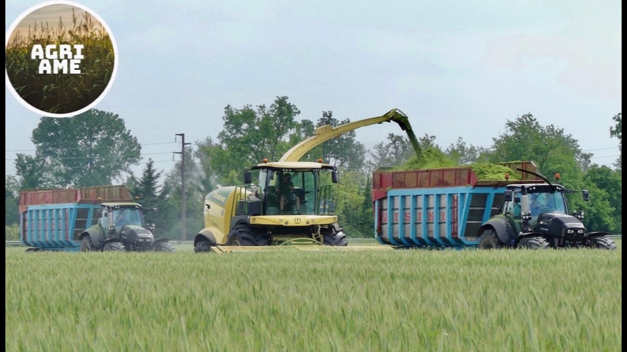 Trinciatura triticale | Krone Big X 1180 | 2x DF 7250 TTV Warrior, 630 TTV | Lissignoli & Calonghi