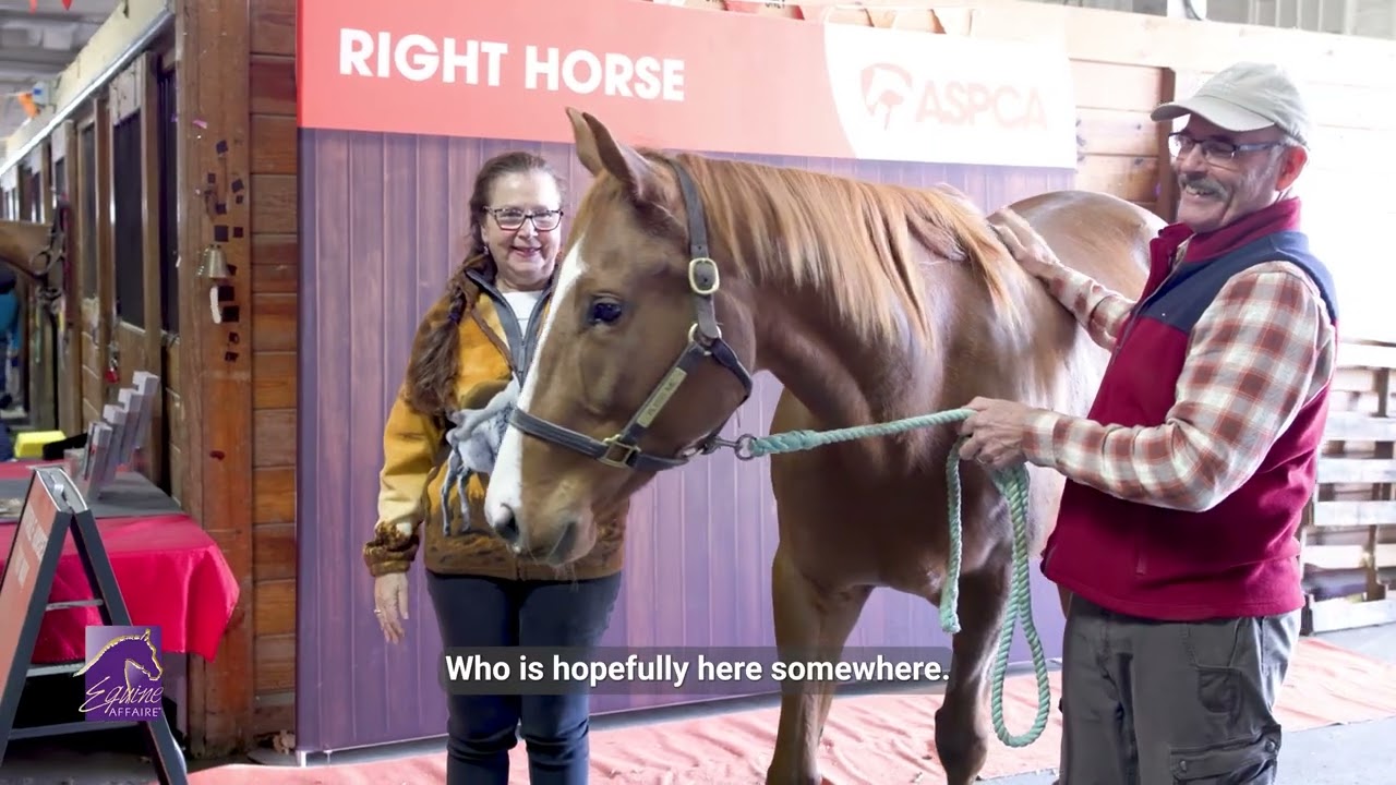 Want to adopt a horse? You can at Equine Affaire!