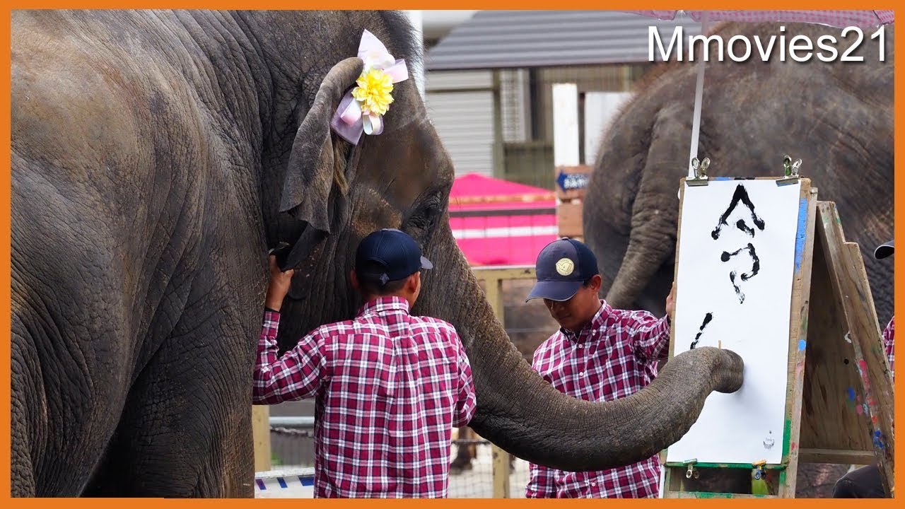改元初日に「令和」を書くアジアゾウ　ゆめ花 Asian Elephant wrote a new era