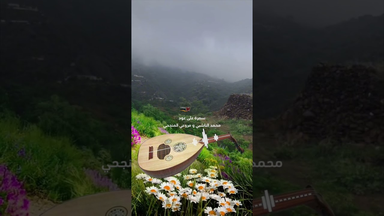 سمرة على عود محمد الناشبي و مروعي المنجحي