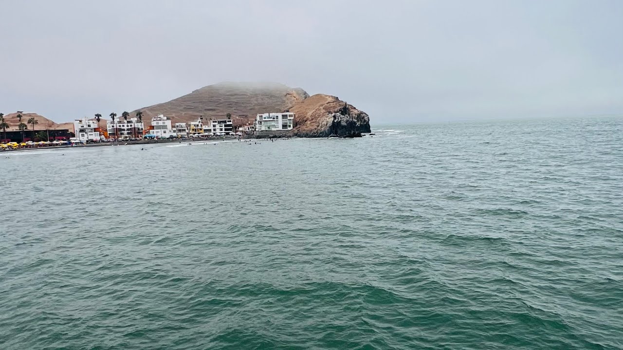 Delfines  en Cerro azul - Perú