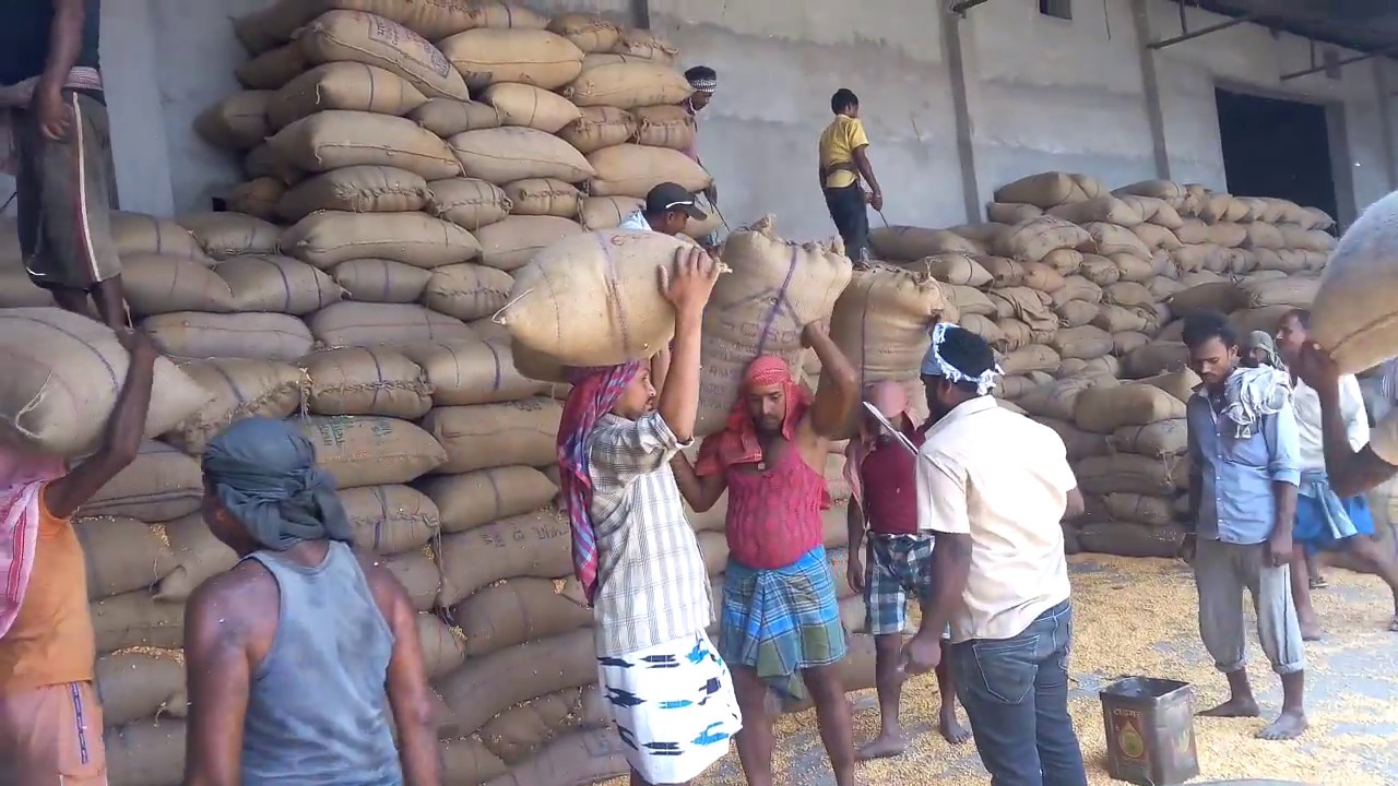 Gulabbagh maize market-cpf India Pvt Ltd