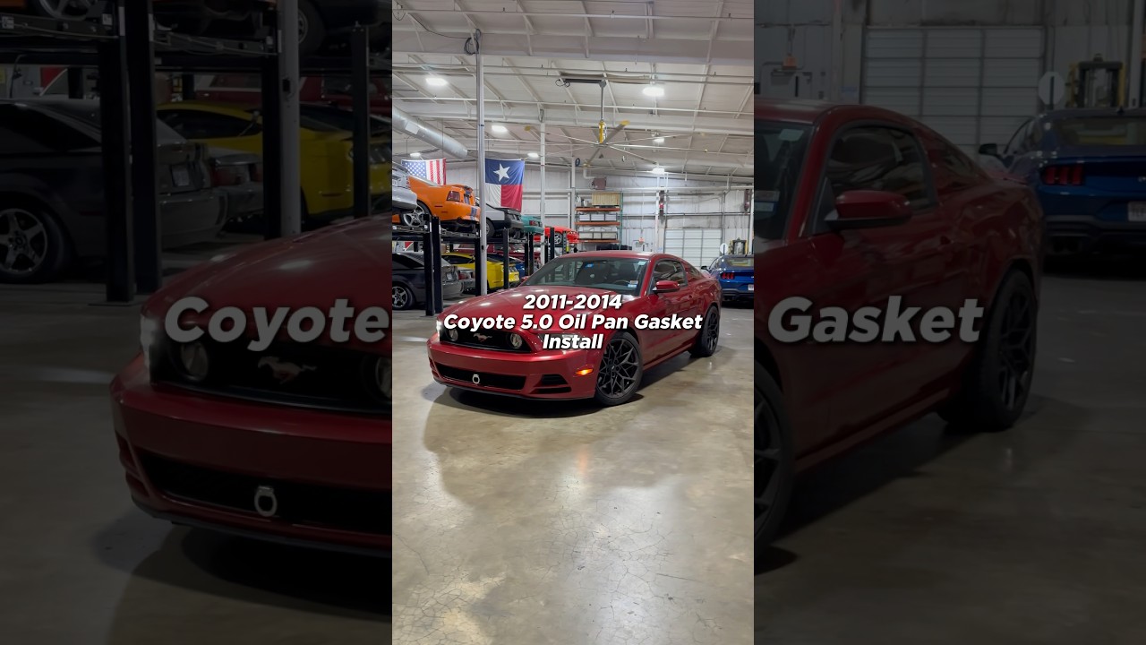 How To Replace The Oil Pan Gasket On a 2011-2014 Coyote 5.0 #latemodelresto #shorts