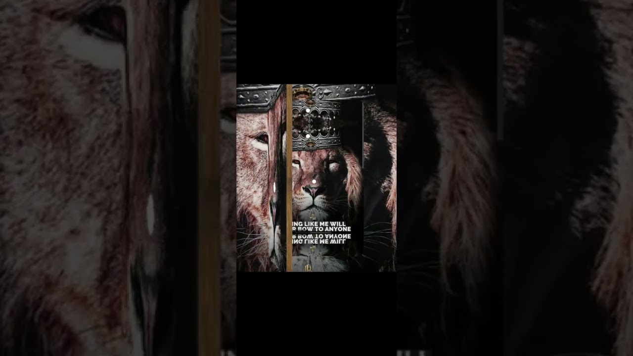 Zylla-Level Above All