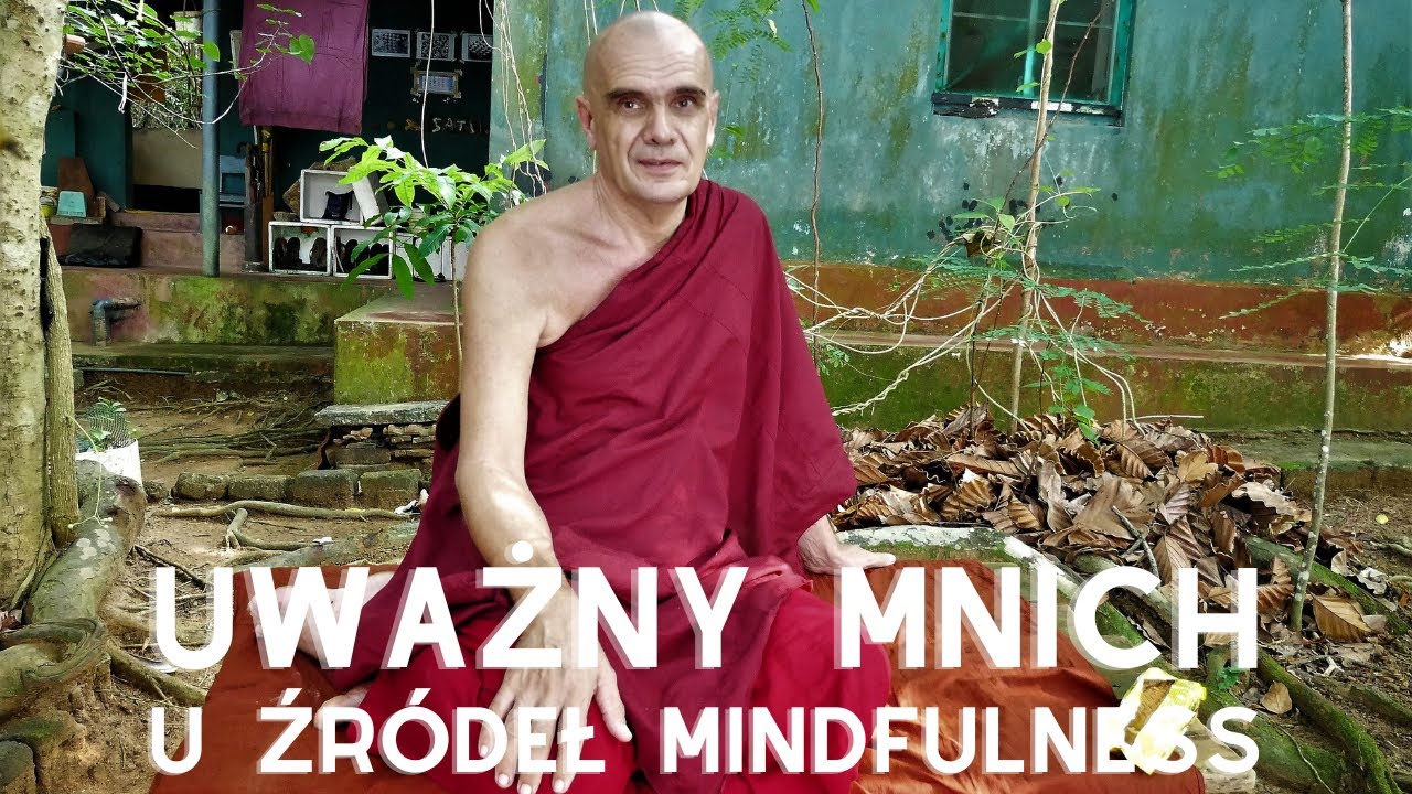 The Mindful Monk. U źródeł mindfulness - film dokumentalny - Tomasz Kryszczyński [LEKTOR PL]