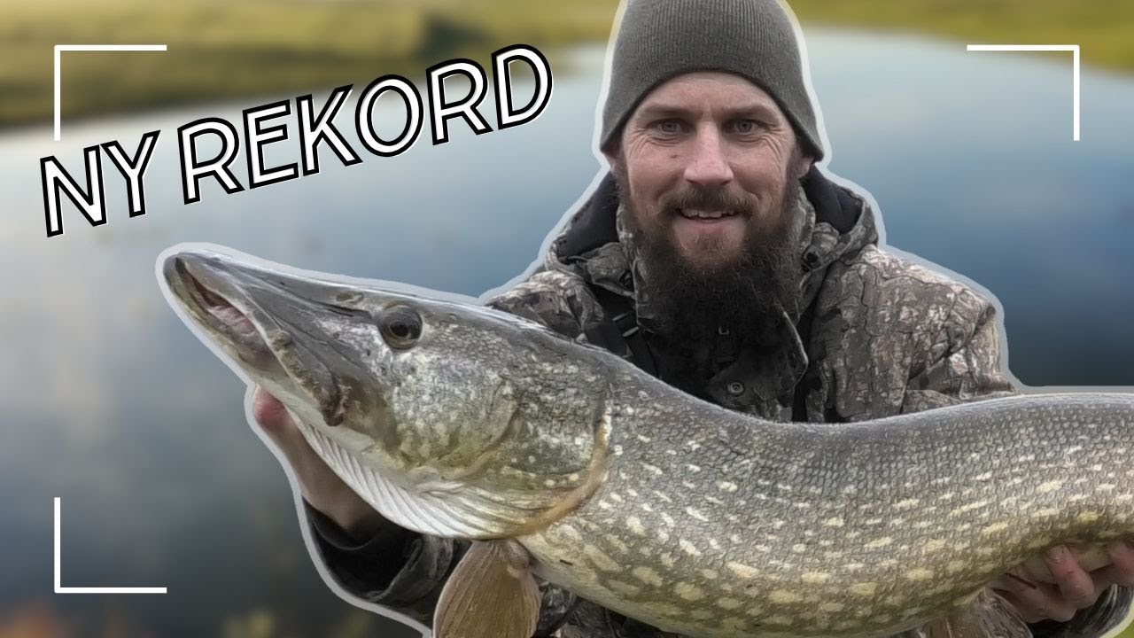 NY REKORD GEDDE!!!!! KÆMPE FORLØSNING.....//NATURNØRD 651