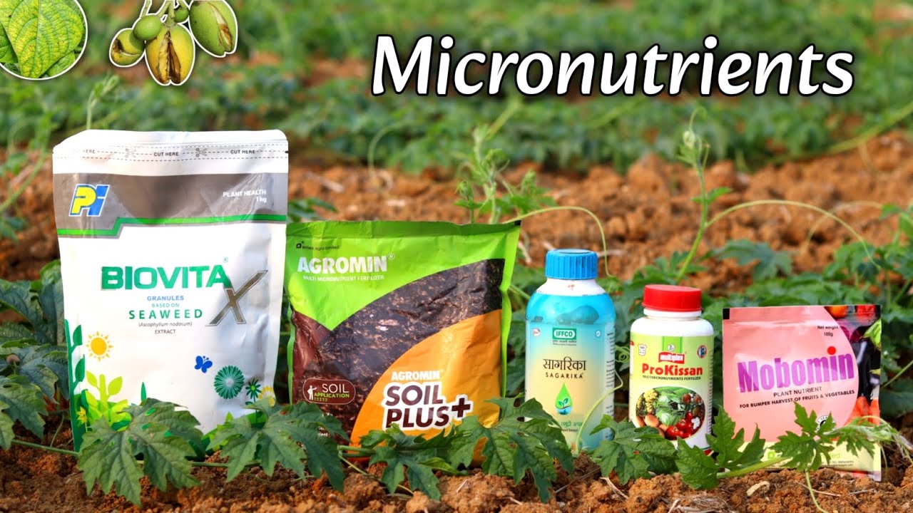 Micronutrients for plants | बेस्ट माइक्रोन्यूट्रिएंट्स फर्टिलाइजर | Micronutrients kya ha
