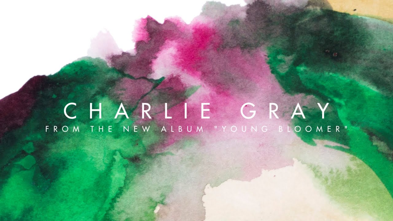 Valise - Charlie Gray (Audio)