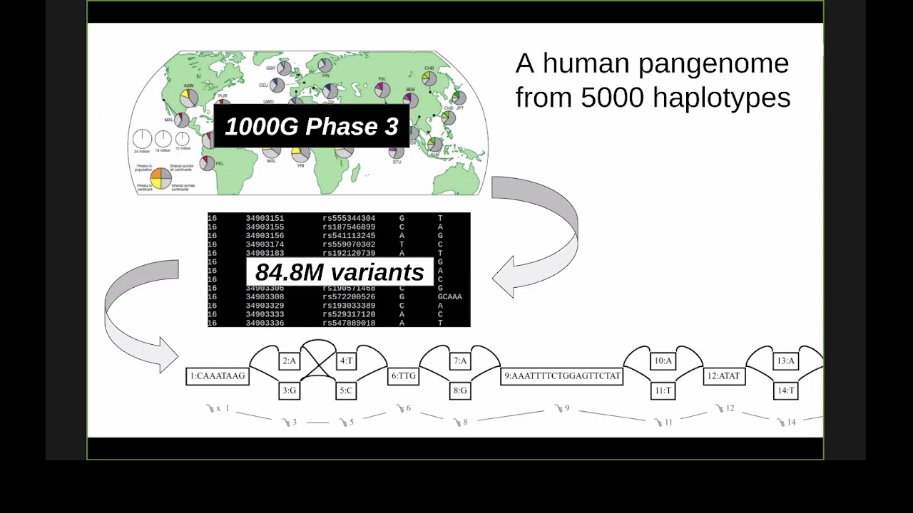 "Building and understanding pangenome variation graphs" -  Erik Garrison 