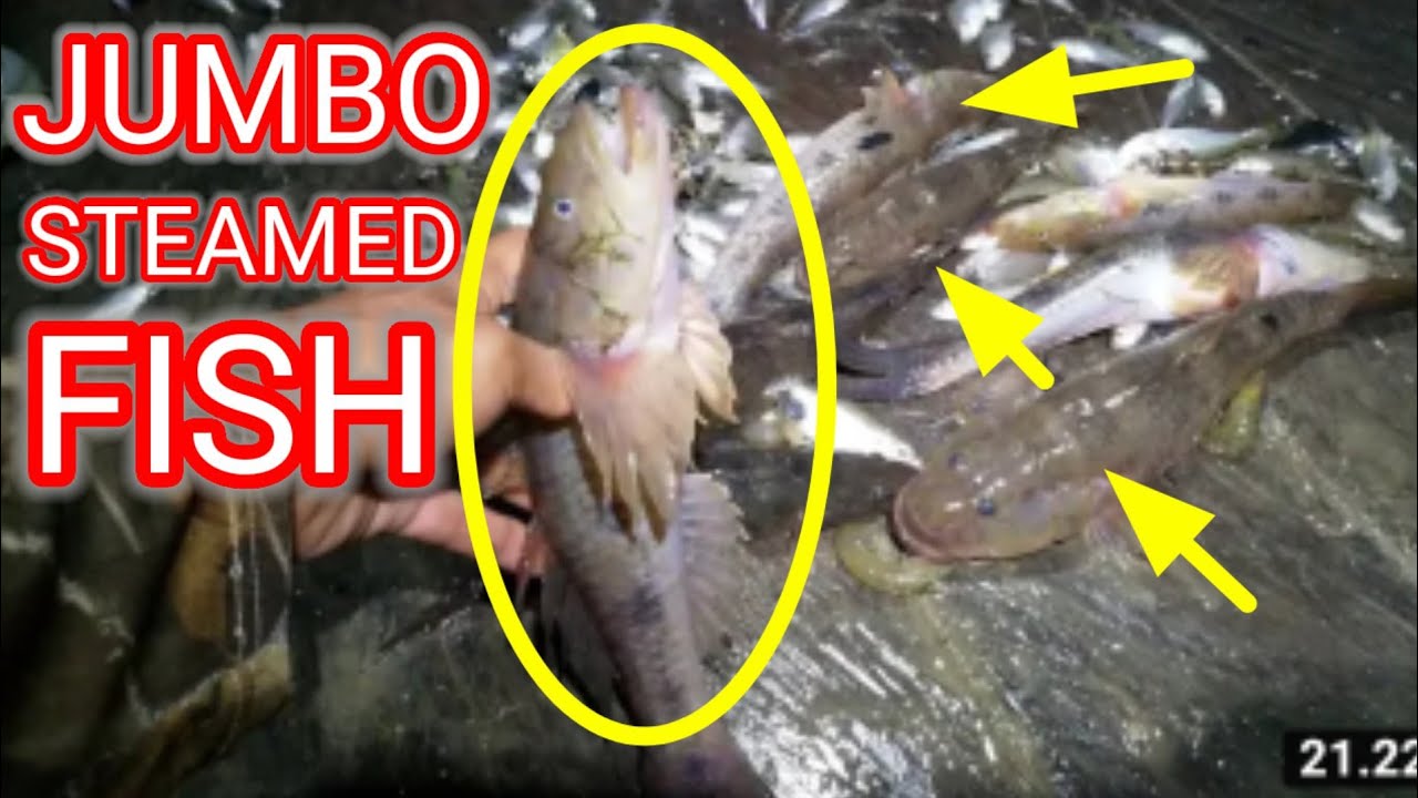Panen udang windu menyambut lebaran idul Fitri@lopes hasan