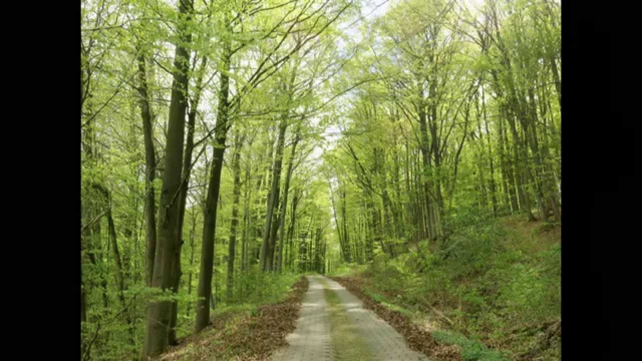 Wandern Franken: im Ellertal-