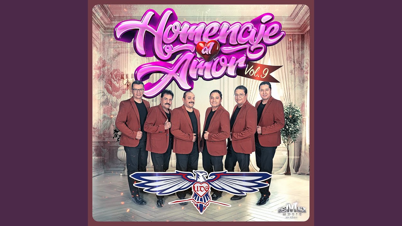 Homenaje Al Amor, Vol. 9: Navidad Sin Ti / Dónde Estas / Morenita / Si Ya No Te Vuelvo A Ver /...
