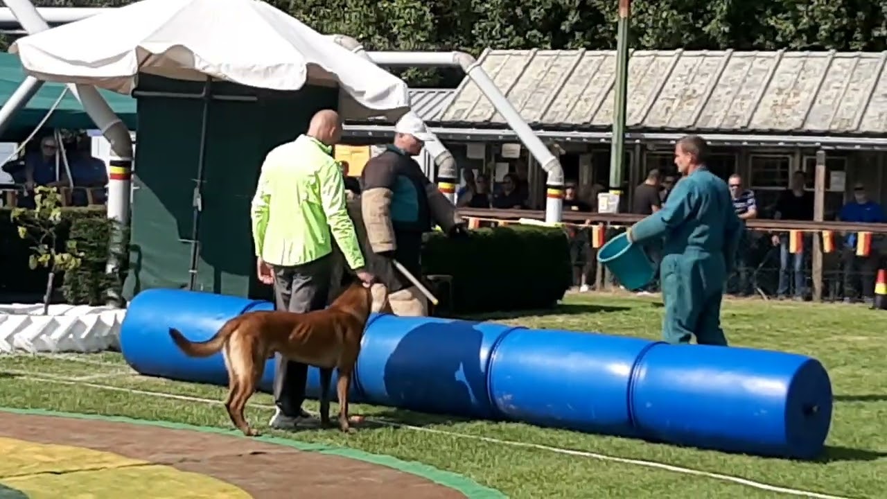NVBK Belgian ring championship 2023 defense of the handler