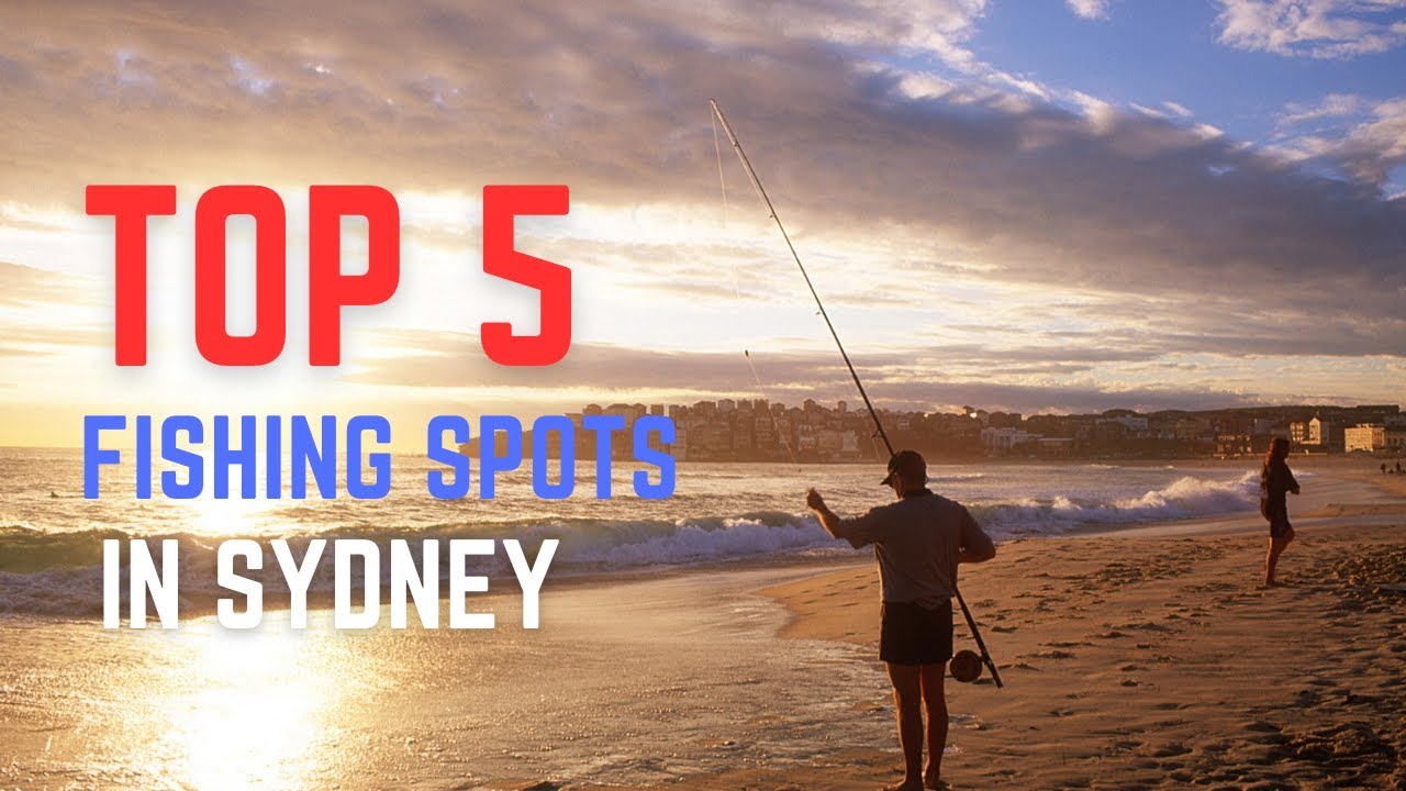 The BEST FISHING SPOTS in SYDNEY
